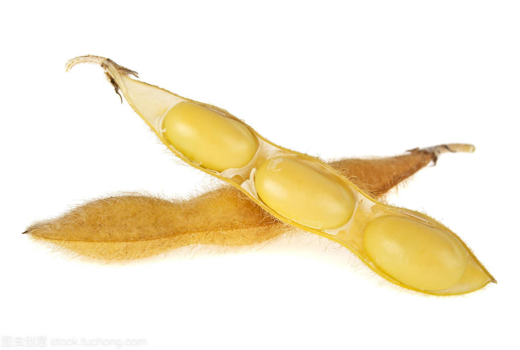 黄大豆和白色背景,密切 u 上分离的种子